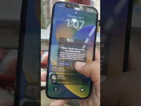 Iphone critical alerts problem
