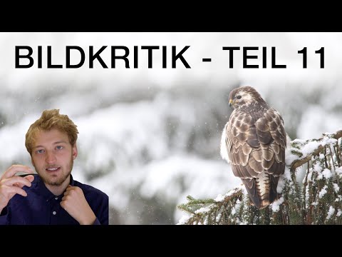 Bildkritik 11 - Ich gebe Feedback zu euren Fotos