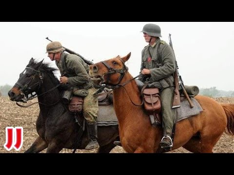 Horses of the Wehrmacht