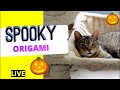 Haunted Paper Comes Alive Spooky Origami Magic