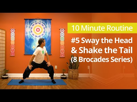 8 Brocades "Ba Duan Jin" #5: Sway the Head & Shake the Tail | 10 Minute Daily Routines #qigong