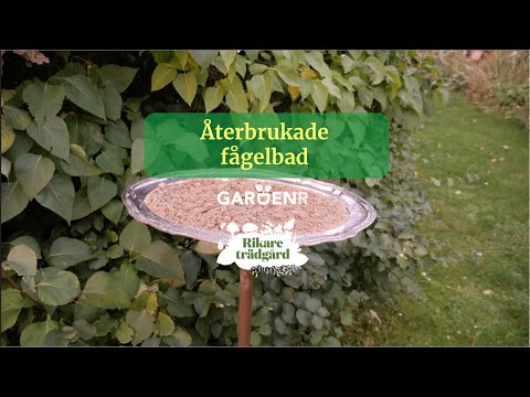 Recycled bird baths - Gardenhacks by GardenR