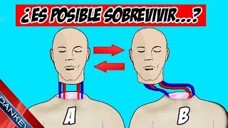 ¿ES POSIBLE SOBREVIVIR A...?