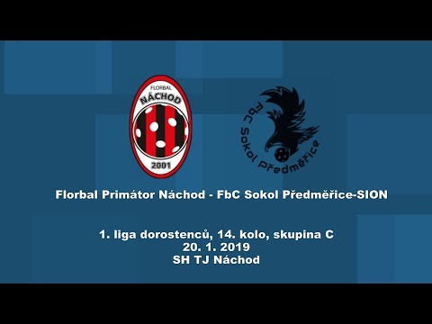 20.1.2019, dorostenci, Náchod - Předměřice/SION