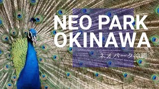 OKINAWA Travel Blog【沖縄名護ネオパーク編】JAPAN