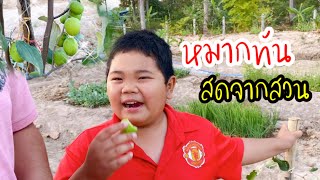 หมากทันสดๆจากสวน หวานเจี๊ยบ กร๊อบกรอบ