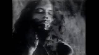 Tripping Daisy - Lost &amp; Found