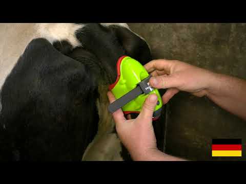 Moocall Calving Sensor - tail attachment guide (German)