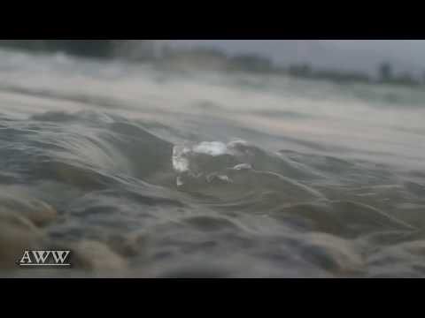 Swat River Tells Its Own Tale - Peaceful River Swat Rabab Traditional Music / Nature in Swat Part 4