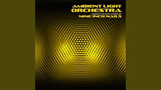 Every Day Is Exactly the Same