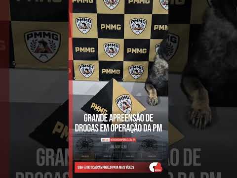 Grande Apreensão de Drogas em Operação da PM #Shorts