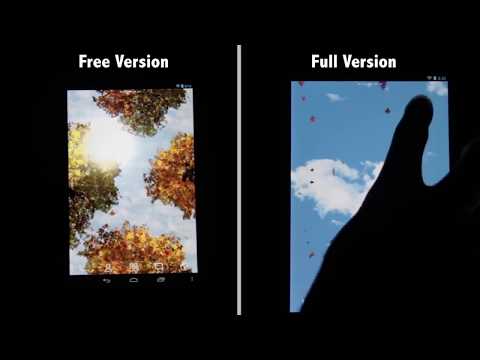 Falling Leaves Free Wallpaper Video
