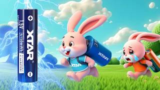 Li-Ion AA Rechargeable Batteries - Are they really good?