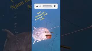 Miniatura - Metin 2 TR Ezel - Tadıc (Unstoppable) Nâmı Değer Balık Aykut 🐟 😁