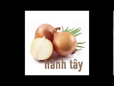 hành tây | onions