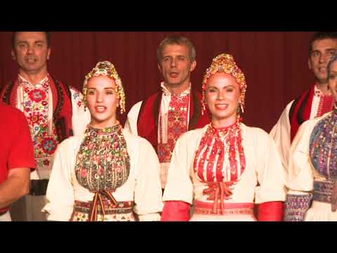 LADO (National Folk Dance Ensemble of Croatia) special tribute Tony Shay (2012)