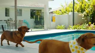 105 Oxley Drive, PARADISE POINT, QLD 4216