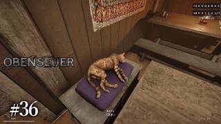 #36 Obenseuer　実況　猫ふんじゃった……