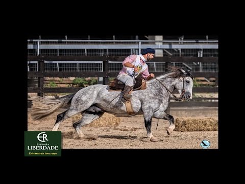 Credenciadora de Inéditos em Esteio