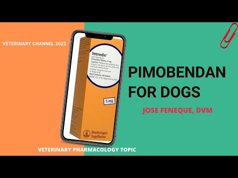 Pimobendan Chewable Tablets 5 mg (PimoBend- 5 )