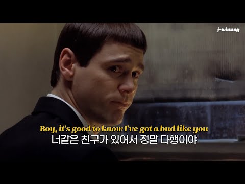 (AJR) 👥"너 업ㅎ인 안된다~.." : Bud Like You - AJR [가사/해석/lyrics] 220418
