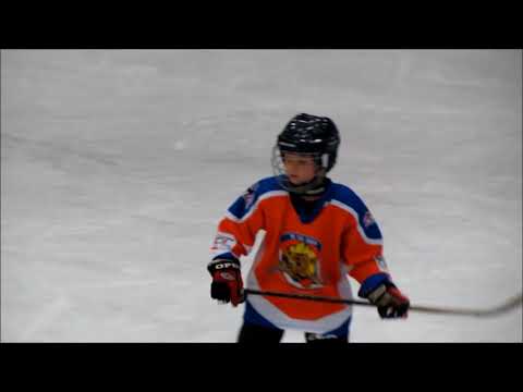 Motor ČB   HC Lvi 2009 (r.2011 - pozápasové nájezdy Lvů) 2017