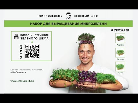 Обзор набора выращивания Микрозелени дома огород на подоконнике микрогрин