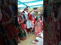 Maniti Hatu Kadla Layo Wedding Lagan Shorts Gujarati
