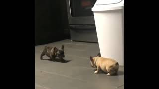 Billy Kain - Lola&amp;LaLa