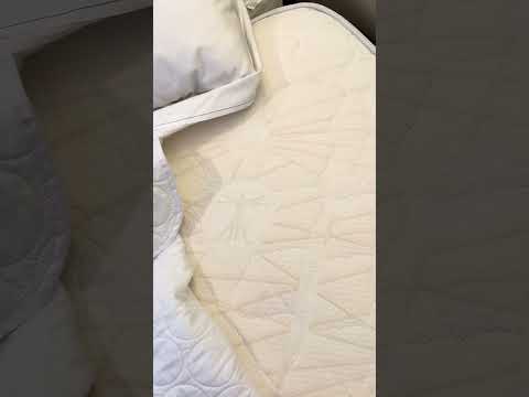 Norwegian Cruise Line - My name is ***, and I was... - Image 4
