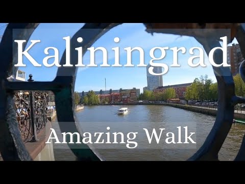 Kaliningrad Amazing Walk along the embankment and the historical center Spring #walking #russia