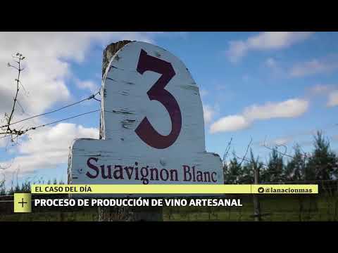 180703 TAPE CMP FG VIÑEDO FINCA DON ATILIO PARTE 2 baja