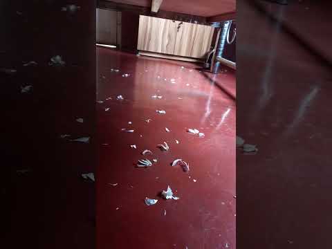 sara din sudu badmasi 🥰🥰