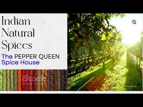 PEPPER QUEEN SPICES Cubeb pepper Mace (Javitri) Indian whole spices