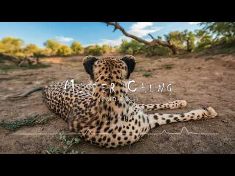 Mister Chung (CMD Remix)