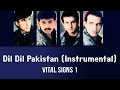 Dil Dil Pakistan Instrumental Vital Signs 1