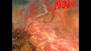 Morbid Angel - Thy Kingdom Come