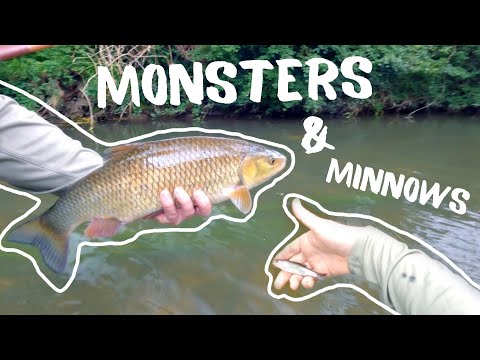 Catching 20 inch monster chub & 2 inch minnows on a Tenkara Rod