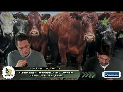 29-05-26 - Subasta Integral Premium de Carlos J. Lanser S.A. - Coronel Moldes, Córdoba