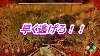 デッドバイデイライト残念過ぎる〇に方