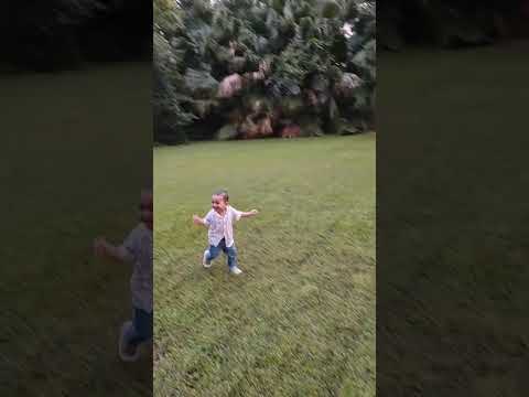 Heading: Danyal’s Joyful Garden Run! 🌿🏃‍♂️💚#GardenRun #HappyChild #DanyalRuns #PureJoy #NaturePlay