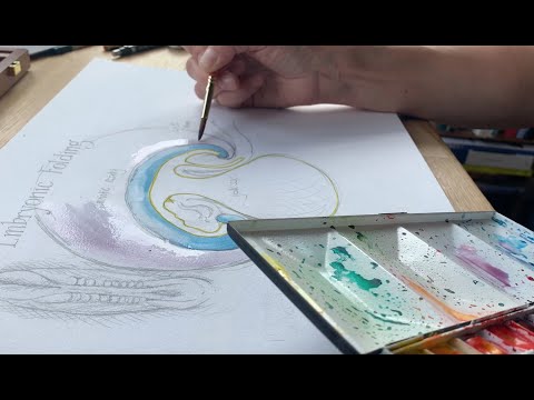 Lockdown Embryology with Prof Alice Roberts #5: Embryonic Folding