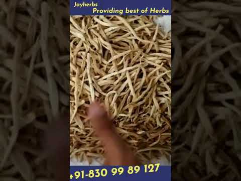 Safed Musli Chlorpyrifum Borivalium