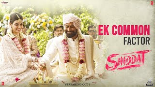 more_videos movie image - 3