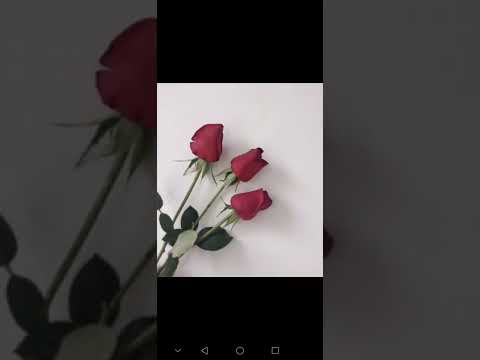 Seni andım bu gece...