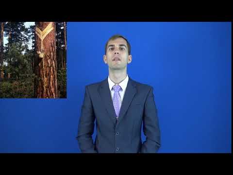 смолокурение