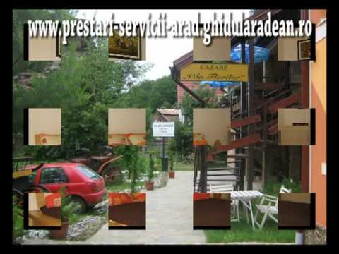 Vila Florilor Moneasa