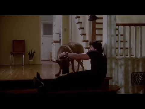 Rocky 2 - Apollo Creed Calling Out Rocky