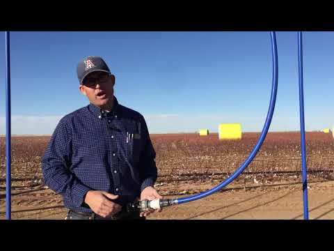 11-10-2020 - 2020 Pivot