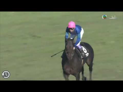 武豊 煉丹者 25/10/2020 日本京都競馬場 桂川錦標 - 1200米 草地
